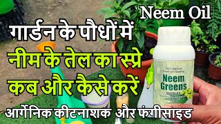 गार्डन के पौधों में नीम आयल के यह फायदे शायद ही आप जानतें होगें | Neem Oil Uses For Plants In Hindi screenshot 2