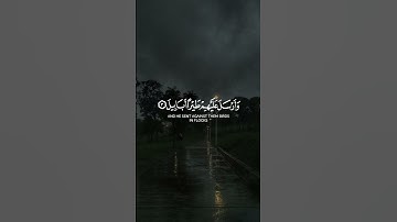 ألم تر كيف فعل ربك بأصحاب الفيل || سورة الفيل || القارئ أحمد العجمي