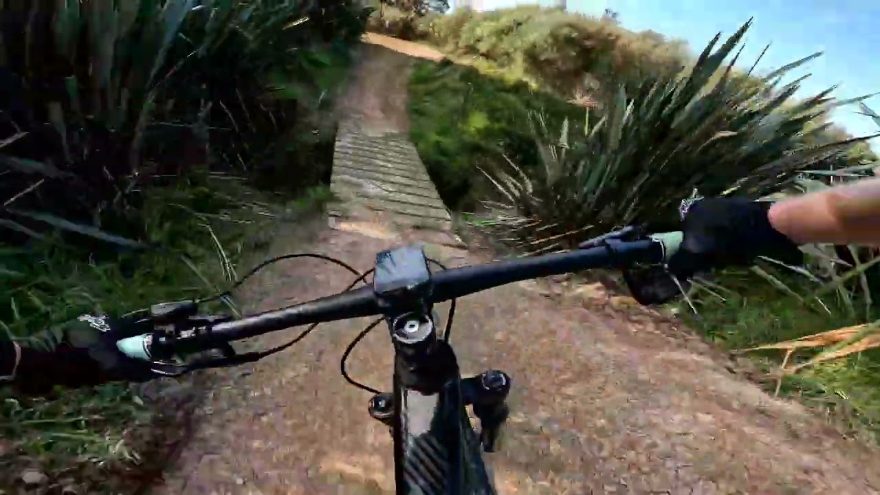 Harry (redone) - Totara Park MTB park