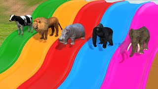 Long Slide Game With Elephant Buffalo Hippopotamus Tiger Gorilla 3d Animal Game Funny 3d Animals