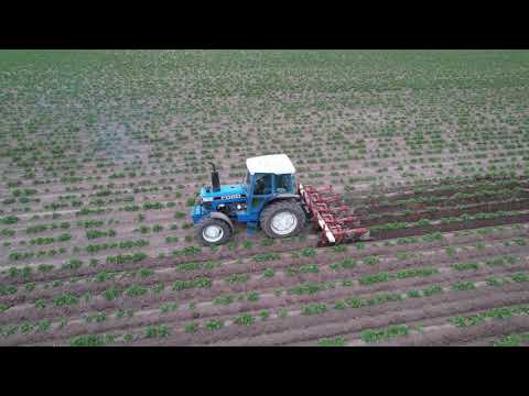 Video: Disc Hiller (21 Photos): How Does The Hilling Of Potatoes Take Place? What Is Better Than Simple And Two-row? Do I Need To Sharpen It? Cutting Furrows With A Sliding Model. Feature