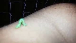 Dancing inchworm