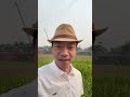 Liệu có TOANG nhà đất KHU NÀY thời gian tới, hay là giá trị thật ?