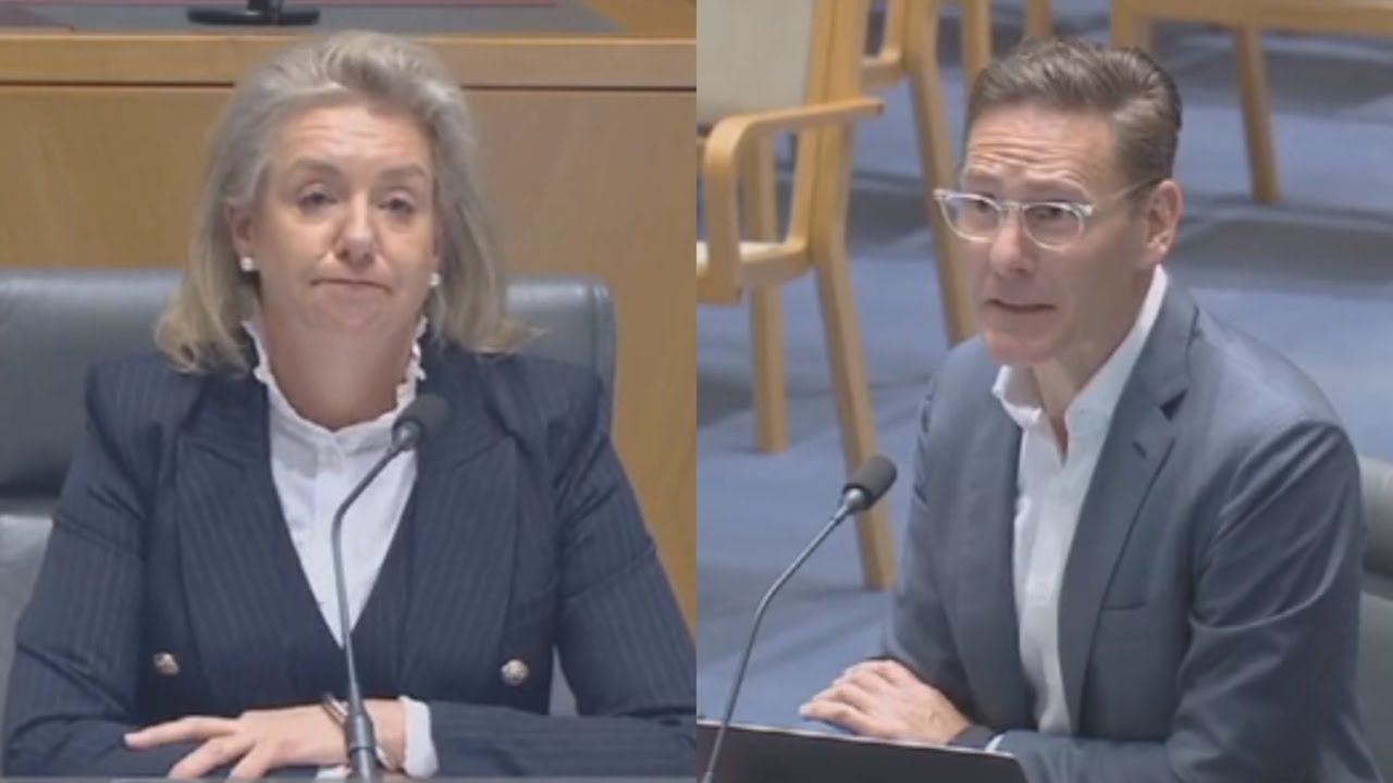 Qantas lawyer gets ‘taste of his own medicine’ as Senate delays flight