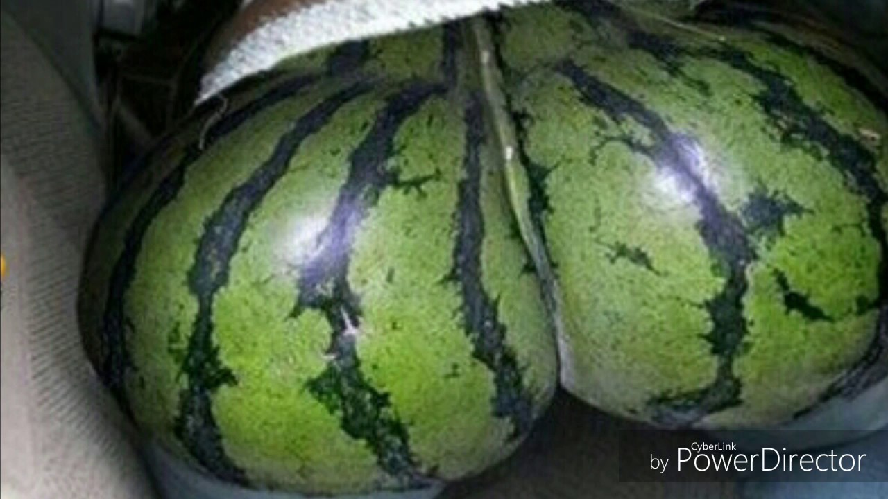 Watermelon Ass