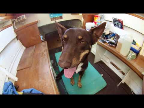 CATAMARAN REBUILD Wharram Narai MKIV Episode 1