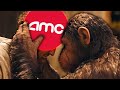 AMC STOCK SHORT SQUEEZE OVER? APES ARE BUYING MORE!!