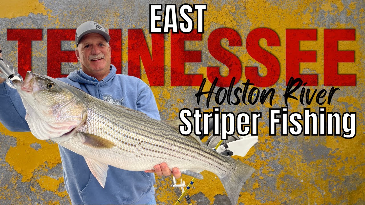 Fall Striper Fishing the Holston River in East Tennessee (Trolling