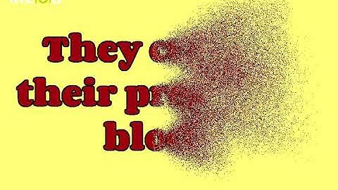 Kizoa Movie - Video - Slideshow Maker: Scratch working Exchange Your Code