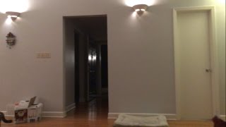 First Live Stream