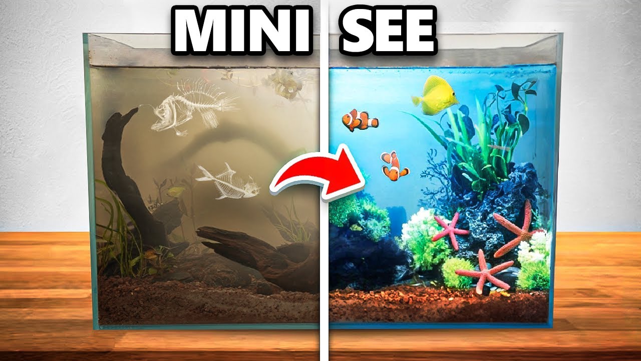 Ich Baute Ein See kosystem Auf Meinem Schreibtisch