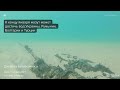 Как выглядит мазут на дне Черного моря