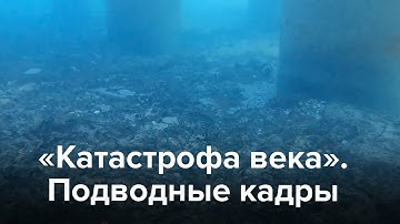 Thumbnail of Как выглядит мазут на дне Черного моря