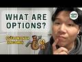 What Are Options? How I Sell Options for Income (Beginner Friendly)