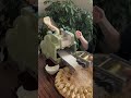 The easiest-to-use mini flour mill for making all kinds of cakes.#tools #viralvideo