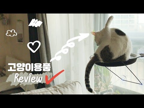 고양이와 살 때 필요한 고양이용품 8가지(8 Useful Gadgets For Cats)｜SEULife