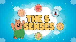 The Five Senses For Kids | Human Senses | Science Year 1| Educational Video |  #PantsBear