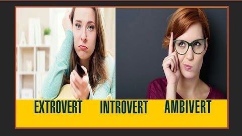 What is your personality trait?  INTROVERT, EXTROVERT or AMBIVERT (English)