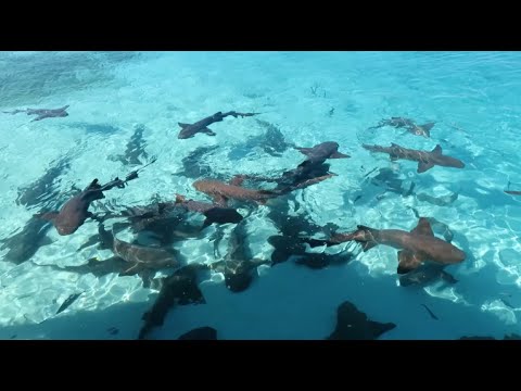 SAILING TO EXUMAS BAHAMAS