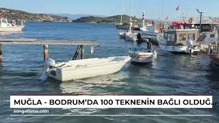 Muğla - Bodrum'da 100 teknenin bağlı olduğu kaçak liman ve iskeleler yıkıldı