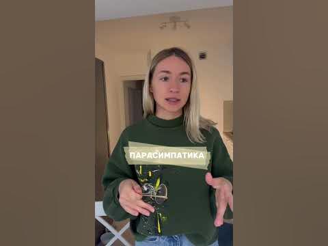 Симпатика и Парасимпатика что это? - YouTube