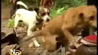 ESCAPADA POR BAZTAN. NAVARRA DIRECTO