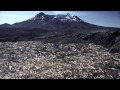 Mount St. Helens: The Death and Reincarnation