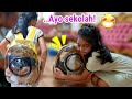 Hanum Buka Paket Tas Astronot Buat Kucing Marco 💞 Auto Hanum Ajak Sekolah Dong! 💞 Hanum Diary