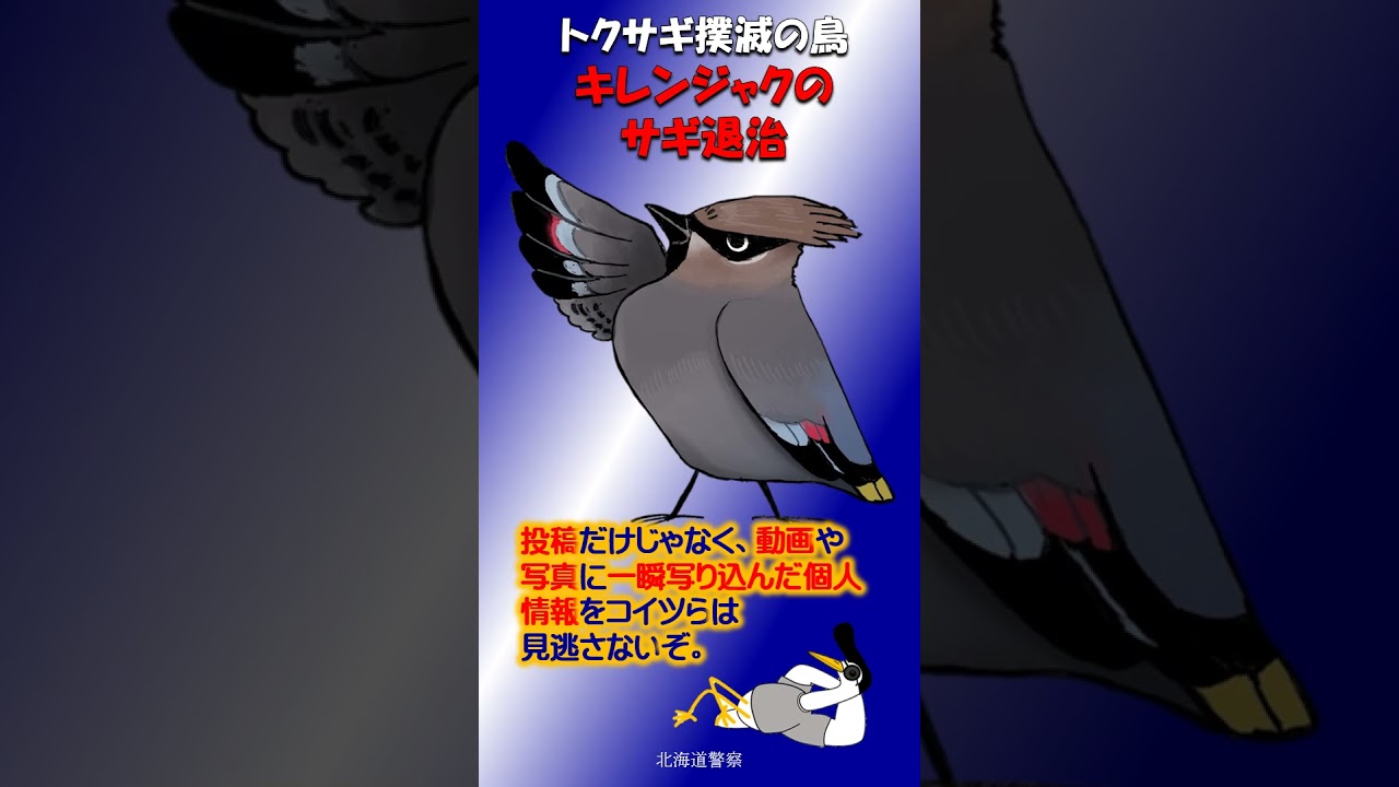 キレンジャクのサギ撃退②~個人情報の収集に注意 #shorts