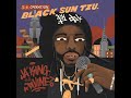 Jaking the divine    black sun tzu album