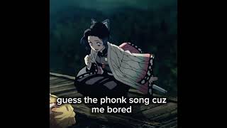 Guess The Phonk Song :)