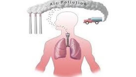 Effects of air pollution and smoking on Chronic Obstructive Pulmonary Disease and Bronchial Asthma