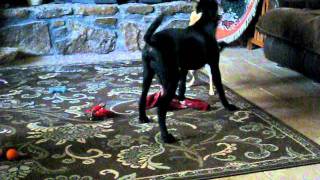 MVI_1102.AVI