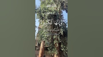 قرآن كريم بصوت جميل #اللهم_صل_وسلم_على_نبينا_محمد #المصحف #اكسبلور