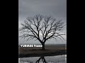 YURIAGE Frame