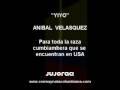Anibal Velasquez - Yiyo
