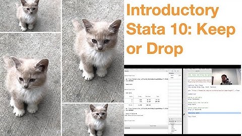 Introductory Stata 10: Keep or Drop Variables or Observations
