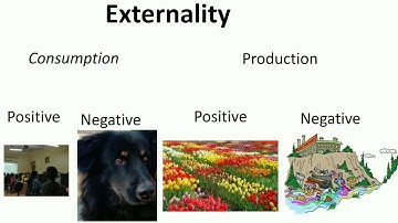 01.Introduction To Externalities