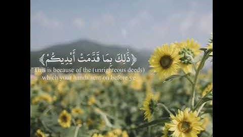 القارئ الشيخ رعد الكردي حالات واتس اب قرآن كريم ❤❤ part1 33