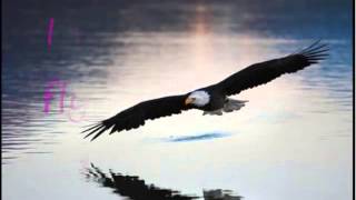 Third Day Eagles with Lyrics