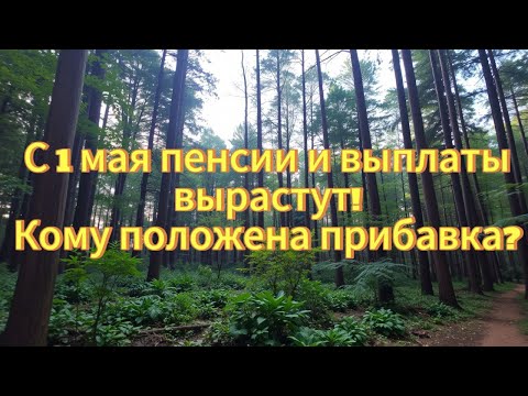 Повышение пенсий и социальных выплат с 1 мая 2025: кому добавят деньги,льготы и региональные выплаты