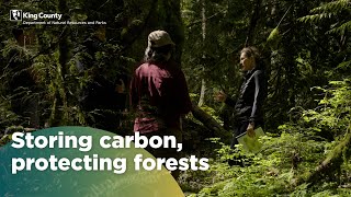 Five years of progress for King County’s Forest Carbon Program