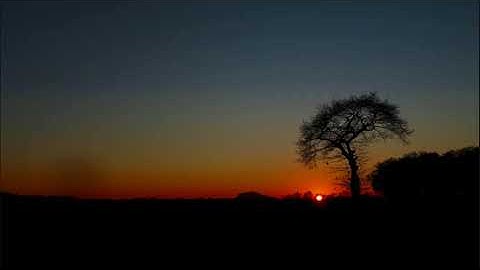 تلاوة شجية بقمة العذوبة والجمال راحه لاتوصف رقق قلبك