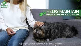 Probiotics for Dogs - Tasty Soft Chews to Promote Gut Health