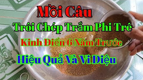 Mồi câu cá trôi, chép, trắm, phi, cá trê, Hiệu Quả - Dễ Làm | Hoàng Minh Official