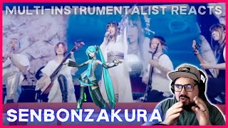 'Senbonzakura' Wagakki Band + Hatsune Miku LIVE | Musician Reaction