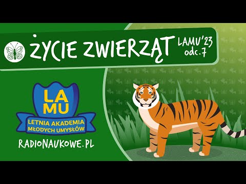 Wideo: Podczas kiełkowania rozwijają się korzonki i pióropusze?