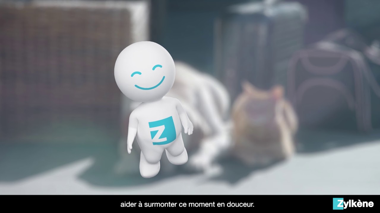 Conseil Veterinaire Blog On A Teste Les Gelules Zylkene Solution Anti Stress Pour Chien