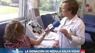 CLM en Vivo: Trasplante de médula ósea