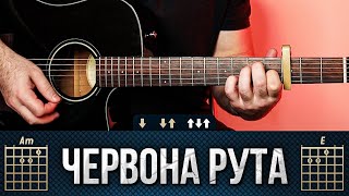 Video thumbnail of "Івасюк — Червона рута (акорди на гітарі)"